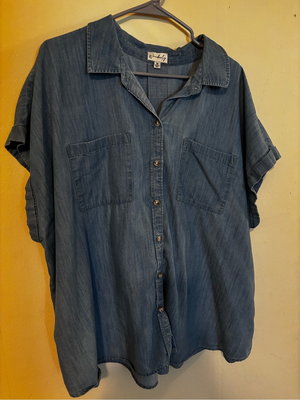Wonderly Blue Chambray Button-Front Shirt